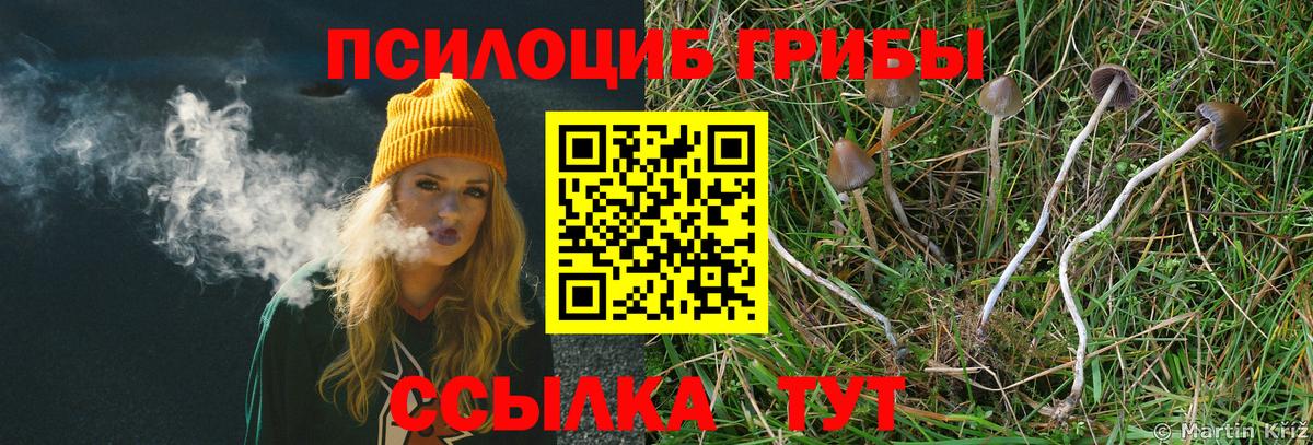 что такое наркотик  Вход с VPN  Галлюциногенные грибы GOLDEN TEACHER  Звенигород  Псилоцибиновые грибы ЛСД 